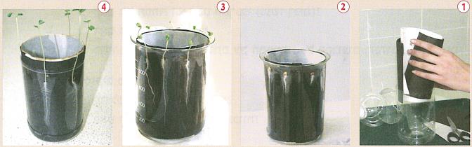 (בספר איור של:)